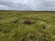 Leaze Cist