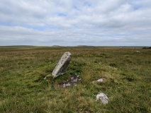 Whiteheads Standing Stone