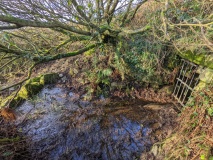 Figgy Dowdy's Well