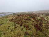 Bosigran Kerb Cairn - PID:236994