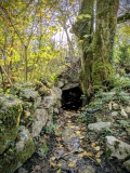 St Ann's Well (Lamorna)