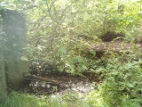 St. Wenna's well - PID:16357
