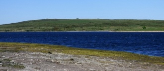 Searle’s Down