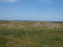 Showery Tor North Cairn 1 - PID:245015 Showery Tor North Cairn 1 - PID:245015