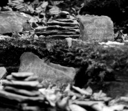 St Nectan's Glen - PID:41427