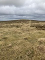 East Moor stone row - PID:293992