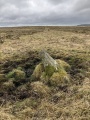 East Moor stone row - PID:293990