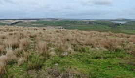 Tolborough Tor stone row