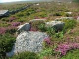 Trendrine Hill Round Barrows