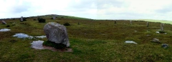 Trippet Stones - PID:84184