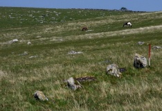 Buttern Hill row