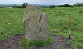 Cardinham Moor row
