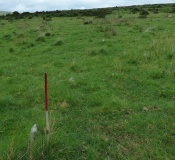 Craddock Moor stone row