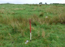 Craddock Moor stone row