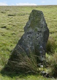 Showery Tor North Standing Stone