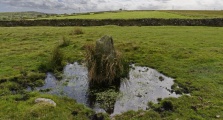 Bolatherick - PID:157565