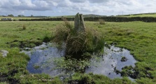Bolatherick - PID:157567