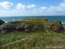 Winecove Point mid