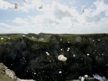 Winecove Point N