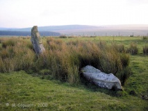 Stripple Stones