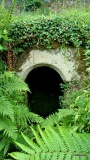 St Torney's Holy Well