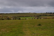 Merry Maidens (Circle) - PID:162669