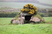 Brane Entrance Grave - PID:134098