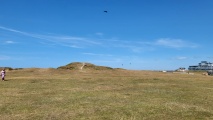 Barrowfields - PID:244610