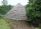 Saveock Water Archaeology - PID:109224