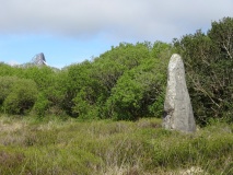Dry Tree Menhir