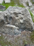 Stithians Cupmarked Stones