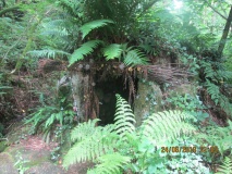 St Bryvyth's Well