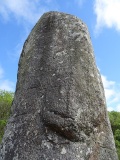 Dry Tree Menhir