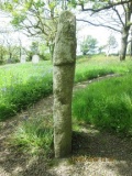 St Juliot's Churchyard