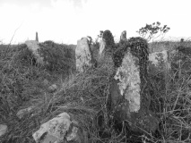 Menhir Carn Brea (Redruth)