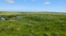 High Moor Cairns - PID:167490