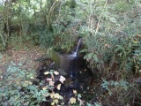 Frogwell - PID:139256