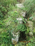 Chapel Jane