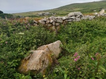 Trevowhan Standing Stone