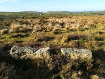 Tonkins Downs