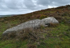 Carnmenellis Outcrop