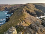 Click for full size image of Gurnard's Head (PID:212114) Gurnard's Head