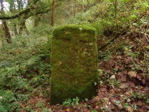 Lower Drift Cross
