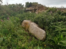 Trevowhan Standing Stone