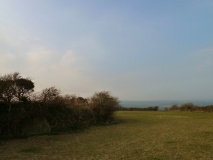 Faughan