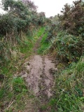 Boscawen-Un Stones