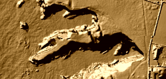 Winecove Point mid