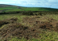 Botrea Tumuli, Homstead and Hut Circle
