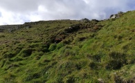 Gurnard's Head