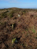 Tregonning hill tumulus